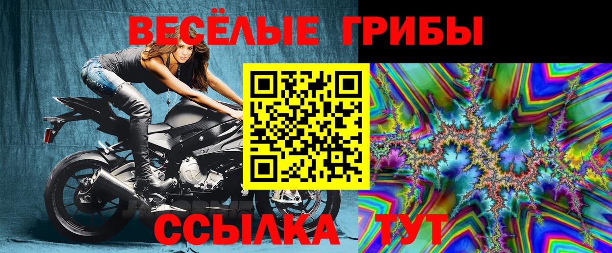 Петрозаводск  Галлюциногенные грибы прущие грибы  Вход с VPN 